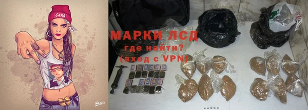 мет Алексин