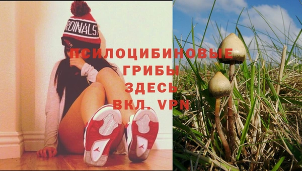 сатива Алексеевка