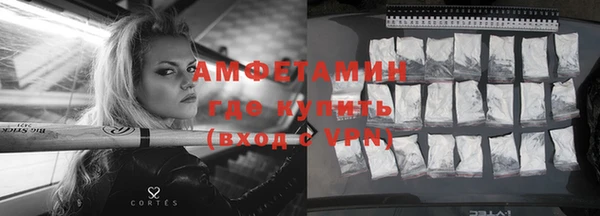 мет Алексин