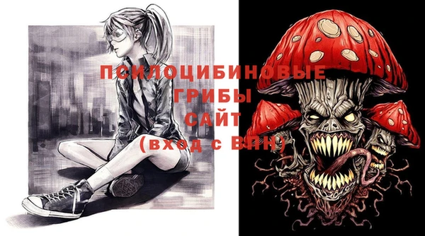 мет Алексин