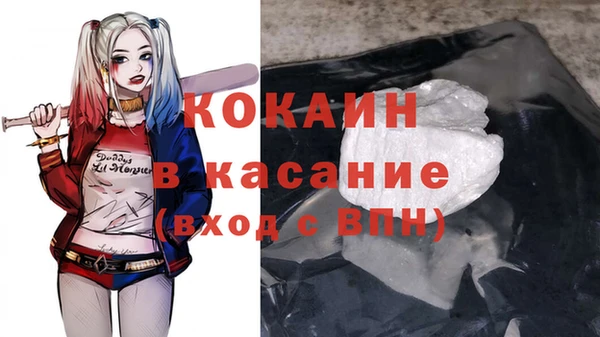 сатива Алексеевка